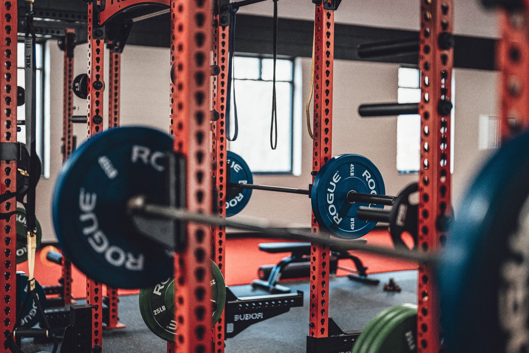 Deportología y composición corporal: entrenamiento de fuerza en gimnasio